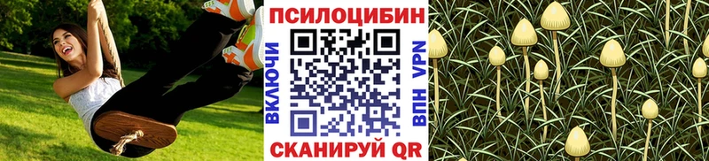 Галлюциногенные грибы MAGIC MUSHROOMS  что такое наркотик  Димитровград 